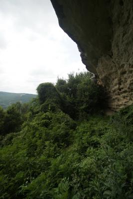 Прикрепленное изображение: DSC03397-1.jpg